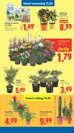 Lidl reclame folder week 20, pagina.31