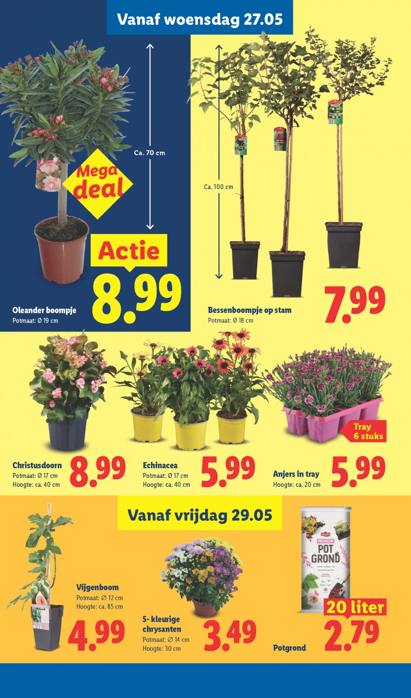 Lidl Aanbiedingen van 25-05-2026 pagina.33