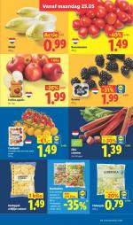 Lidl reclame folder week 22, pagina.9