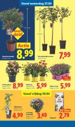 Lidl reclame folder week 22, pagina.33