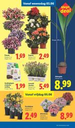 Lidl reclame folder week 23, pagina.24