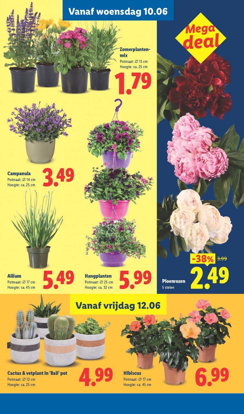 Lidl Aanbiedingen van 08-06-2026 pagina.25
