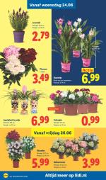Lidl reclame folder week 26, pagina.19