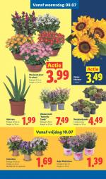 Lidl reclame folder week 28, pagina.16