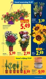 Lidl reclame folder week 29, pagina.17