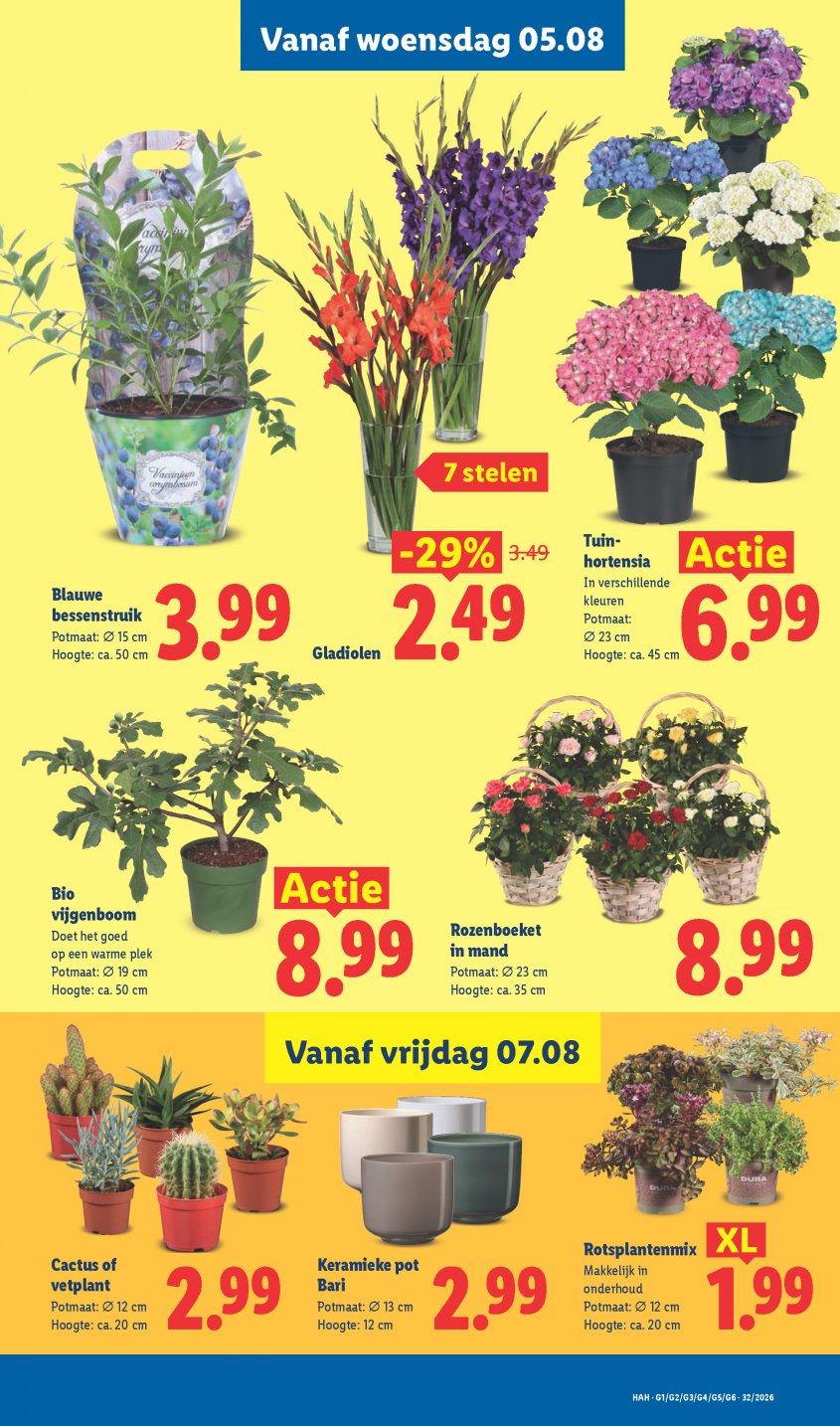 Lidl Aanbiedingen van 03-08-2026 pagina.35