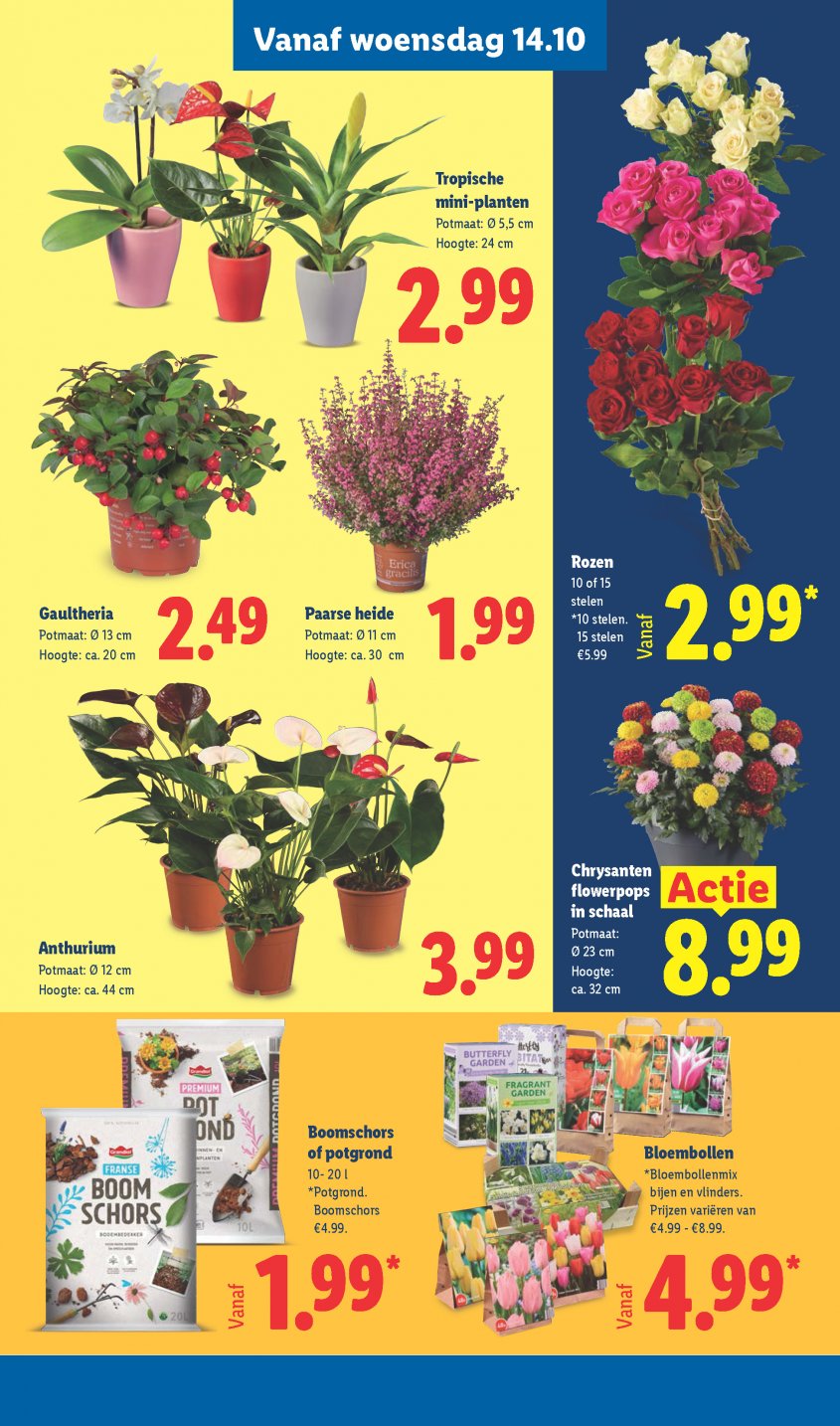 Lidl Aanbiedingen van 12-10-2026 pagina.26