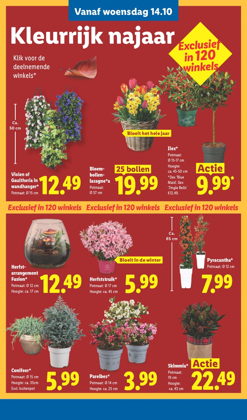 Lidl Aanbiedingen van 12-10-2026 pagina.27