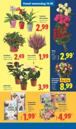 Lidl reclame folder week 42, pagina.26
