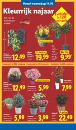 Lidl reclame folder week 42, pagina.27