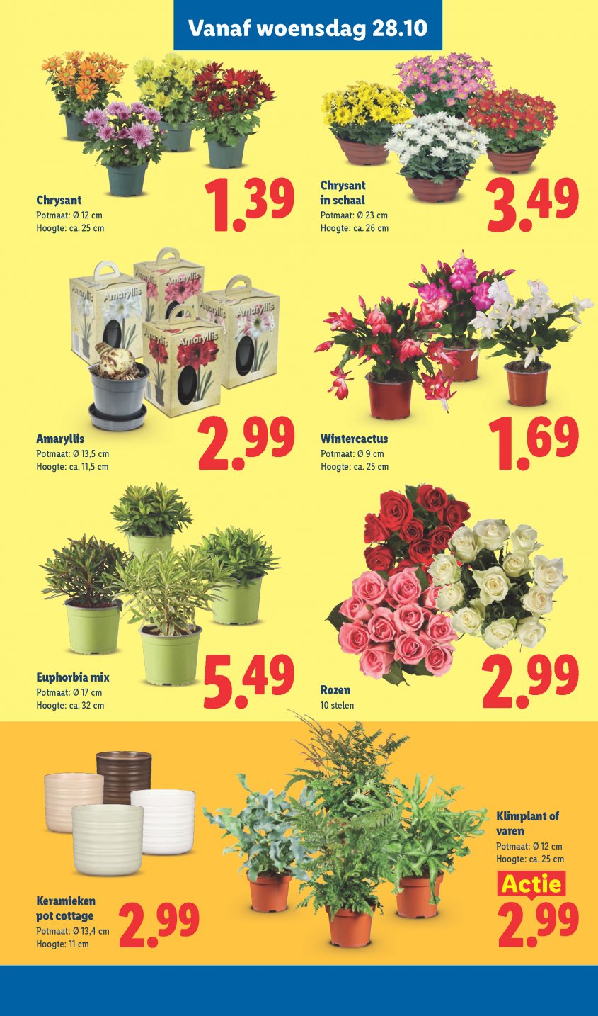 Lidl Aanbiedingen van 26-10-2026 pagina.15