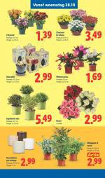Lidl reclame folder week 44, pagina.15