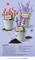 Plus reclame folder week 11, pagina.24