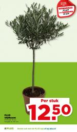 Plus reclame folder week 17 pagina.37 