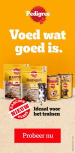 Plus reclame folder week 40, pagina.12