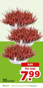 Plus reclame folder week 40, pagina.43