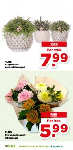 Plus reclame folder week 45, pagina.47